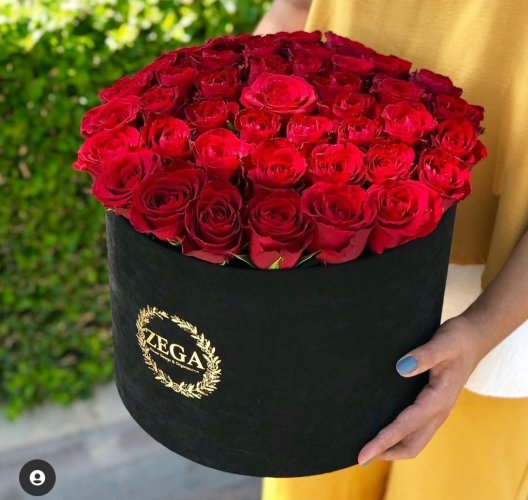 Küçük Dolusu Güller