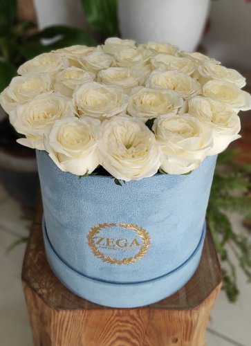 Süet Kutuda Beyaz Güller