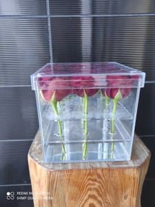 Seffaf Kutuda Güller 1