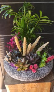 Terraryum